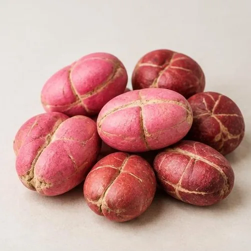 Kola