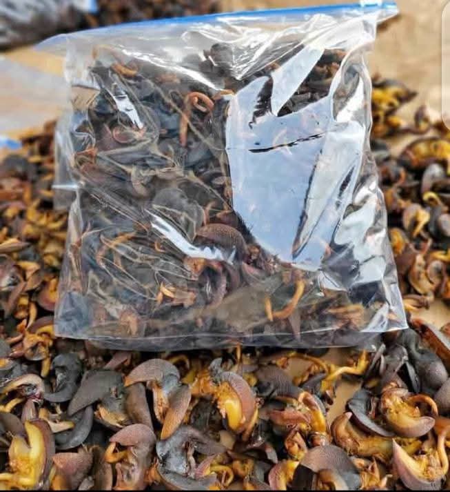 Dried Snails, Packed